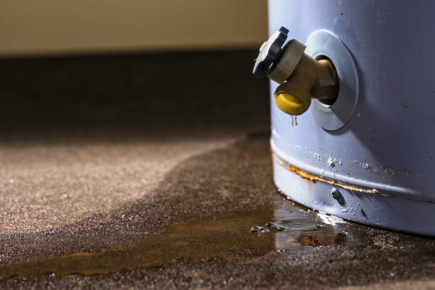 Best Professional water damage repair  in South Bend, WA